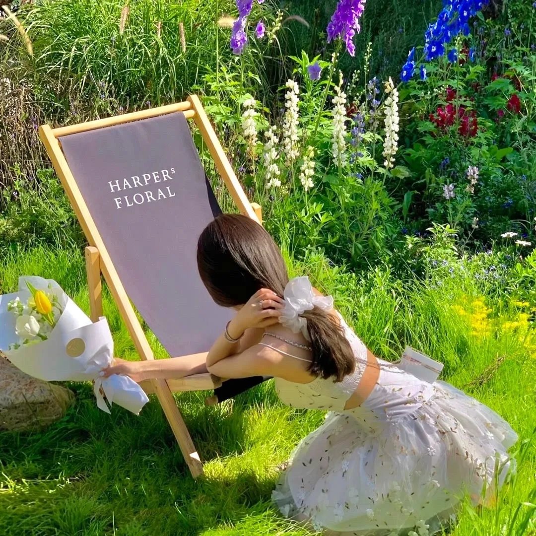 德国犯罪故事:绳缚